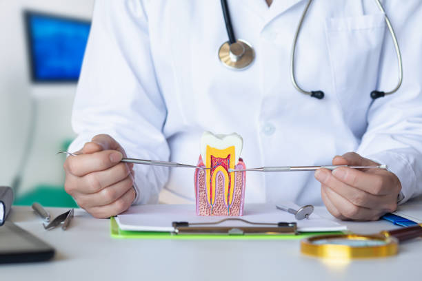 Best Same-Day Emergency Dental Services in Lebanon, OH